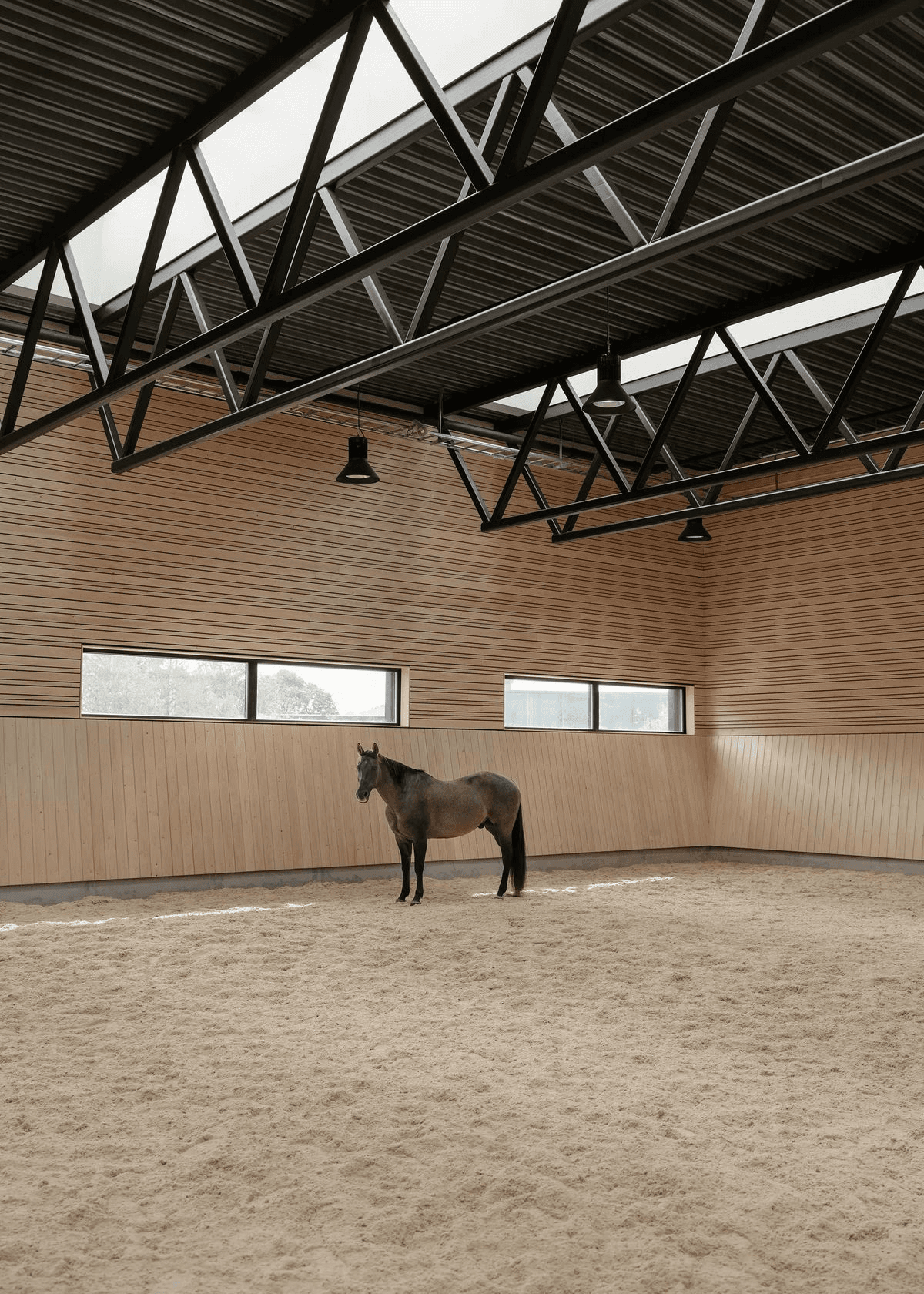 Onze nieuwe reinigingsoplossing voor paarden