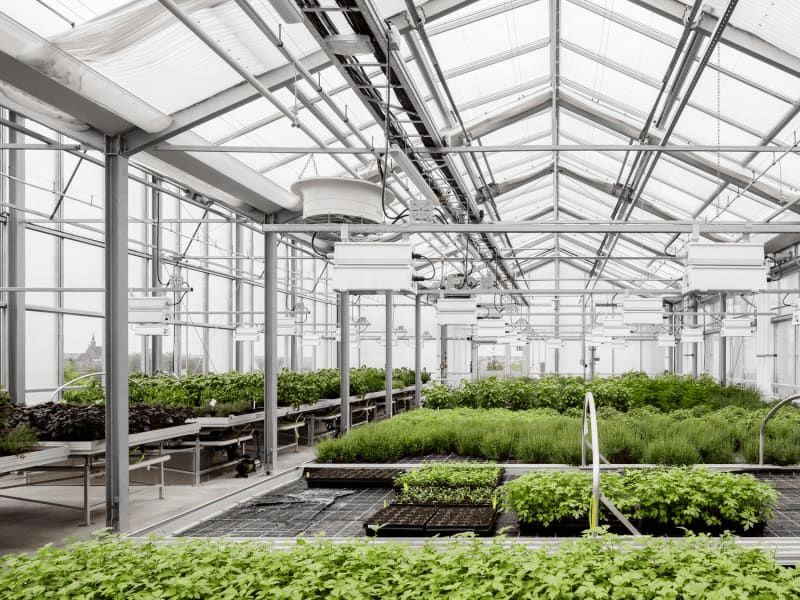 Greenhouse Solutions